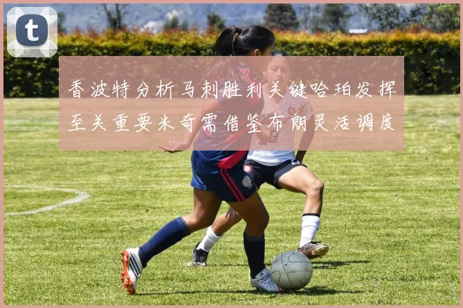 香波特分析马刺胜利关键哈珀发挥至关重要米奇需借鉴布朗灵活调度