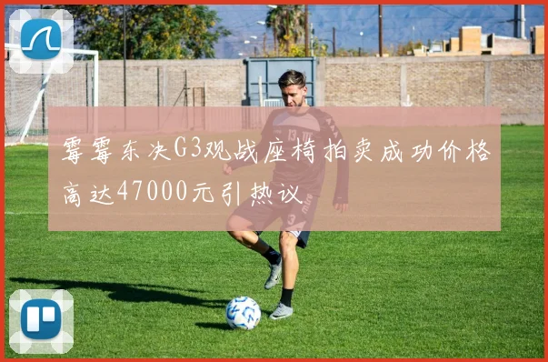 霉霉东决G3观战座椅拍卖成功价格高达47000元引热议